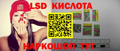 бошки Кимры