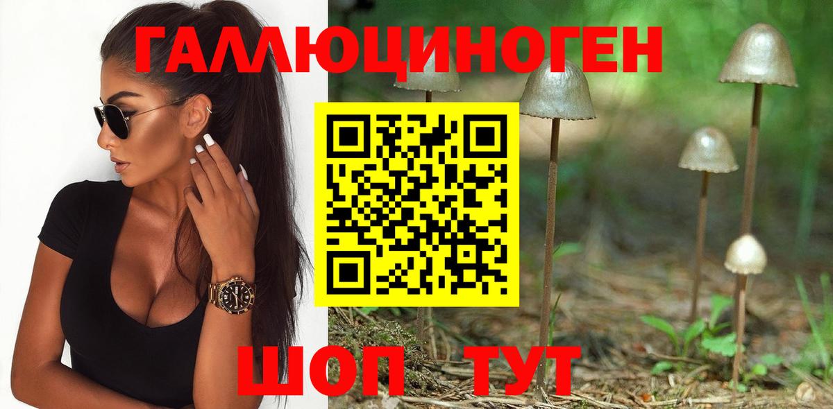 Псилоцибиновые грибы Magic Shrooms  Вход с VPN  Куйбышев 